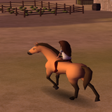 Horse Riding APK