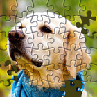 Jigsaw Puzzle Meister Zeichen