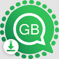 GB Pro Version Saver