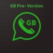 ”GB Pro-Version