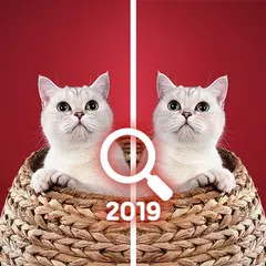 Challenge Find the Difference 2019 APK Herunterladen