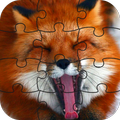 Cute Animals Puzzle