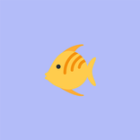 Great Barrier Reef Guide