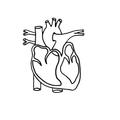 CVR Calc: Heart Risk Calc