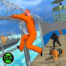 Prison Escape Plan: Mad City APK