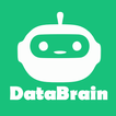 DataBrain – AI Assistant icon