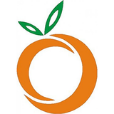 Orange Fashion icône