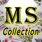 MS Collection icon