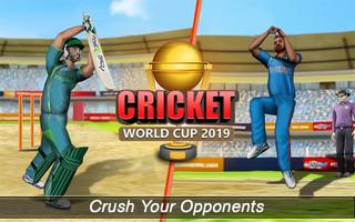 Real World Cricket Championshi Affiche