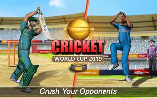 Real World Cricket Championshi Affiche