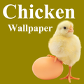 Chicken Wallpaper