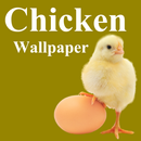 APK Chicken Wallpaper