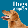Dogs Wallpaper