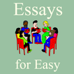 Basic English Articles
