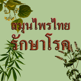 สมุนไพรรักษาโรค icon