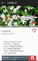 สมุนไพรรักษาโรค screenshot 3