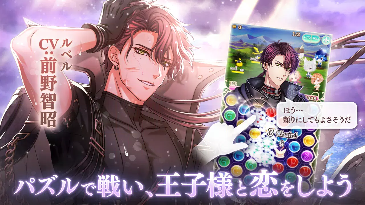 夢王国と眠れる100人の王子様