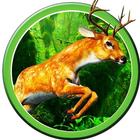 Big Buck Deer Hunter Challenge - Crossbow Hunting icône