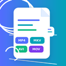 Video Formats Guide APK