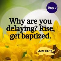 30 Days - Daily Bible Quotes capture d'écran 1