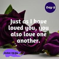 30 Days - Daily Bible Quotes capture d'écran 3