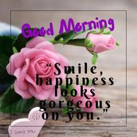 Smile Good Morning Wishes Affiche
