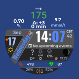 GlucoTrack Companion GDC-557 APK