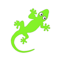 Gecko Grill Recipes