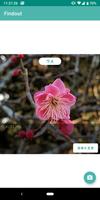 Findout Screenshot 1
