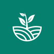 GECSA
