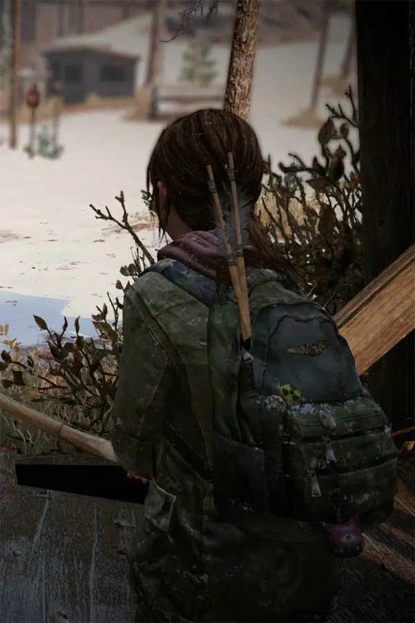 TLOU2 HD Wallpaper APK for Android Download