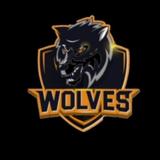 ZalTV icon