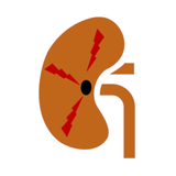 LitoDiagnostic 图标