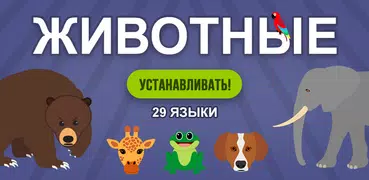 Животные Викторина: Учиться на 29 языках