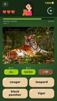 Animals ảnh chụp màn hình 3