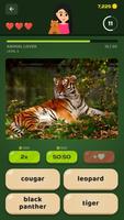 Animals ภาพหน้าจอ 3