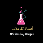 Mr Beshoy Gerges icono