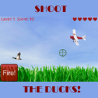 Shoot the Ducks 아이콘