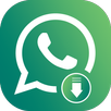 WhatSaver - Story Saver APK
