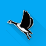 Geese Relief