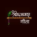 Bhagvad Geeta - Geeta Saar