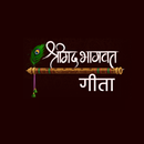 Bhagvad Geeta - Geeta Saar APK