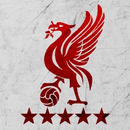 Liverpool  Wallpapers aplikacja