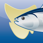 Tasmanian Sea Fishing Guide icône