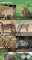 Kruger National Park FieldApp Lite Affiche