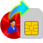 Contacts to SIM icono