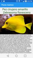 Guía de peces de acuarios تصوير الشاشة 3
