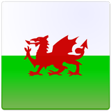 Welsh Verb Blitz simgesi