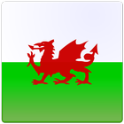 Icona Welsh Verb Blitz