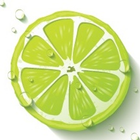 LIME ícone